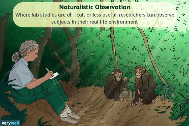 Memahami Apa Itu Observasi Naturalistik?